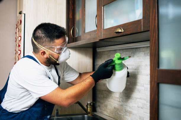 Best Emergency Pest Control  in Oneida, NY