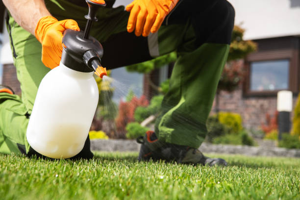 Best Termite Control Services  in Oneida, NY