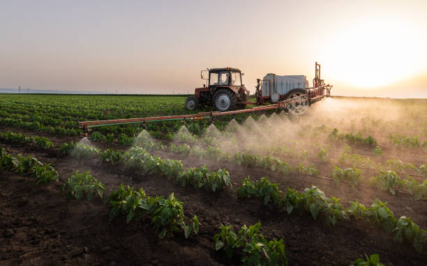 Pest Prevention Services in Oneida, NY