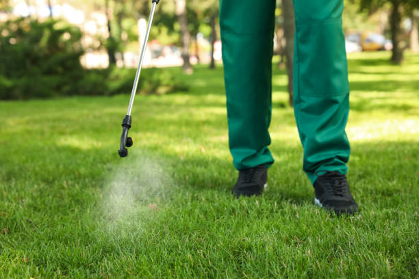 Best Mosquito Control Services  in Oneida, NY