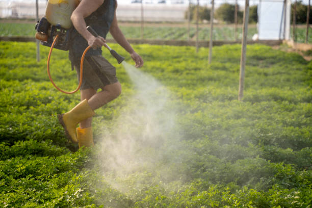 Best Mosquito Control Services  in Oneida, NY