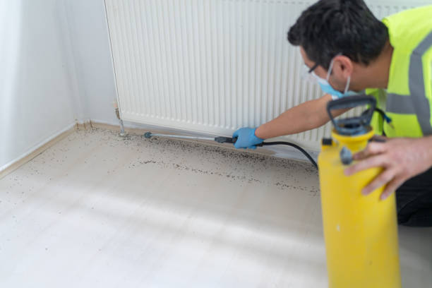 Best Pest Inspection Near Me  in Oneida, NY