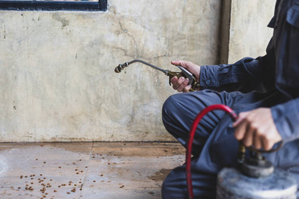 Best Wasp Removal Services  in Oneida, NY