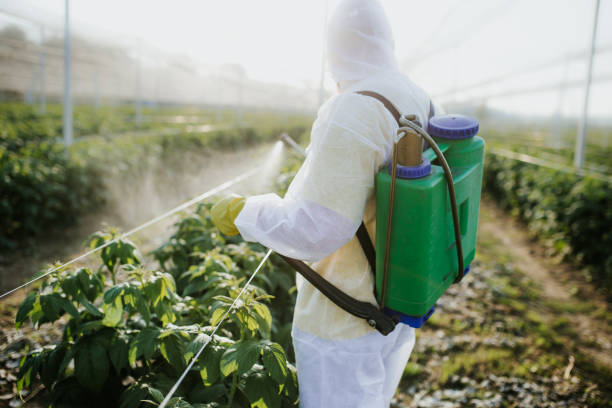 Best Insect Control  in Oneida, NY